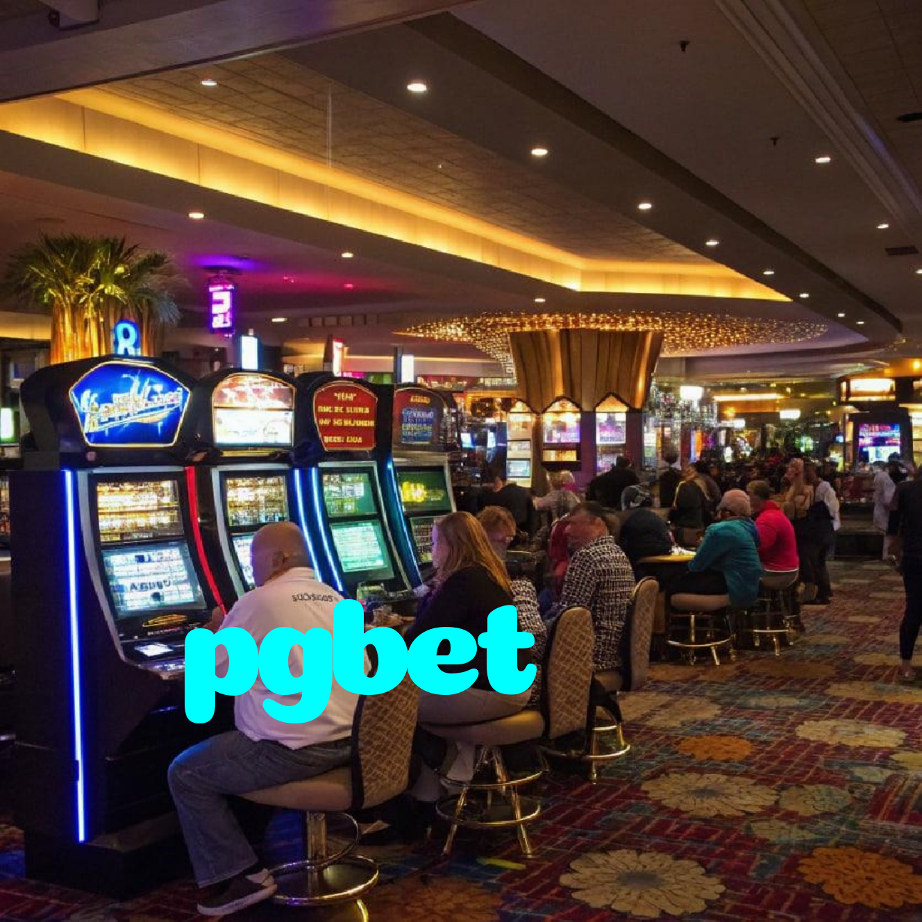 pgbet